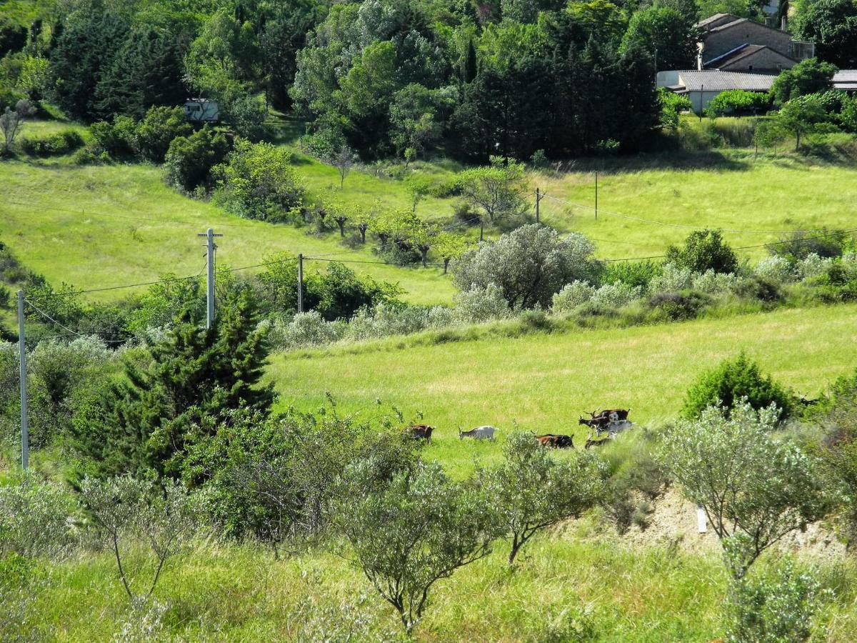 Pontet-Fronzele Agrotourisme Ecologique, Maison D'Hotes & Spa Лагорс Экстерьер фото